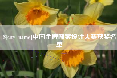 昭通中国金牌图案设计大赛获奖名单