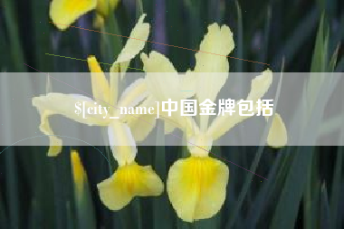 昭通中国金牌包括