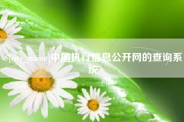 昭通中国执行信息公开网的查询系统