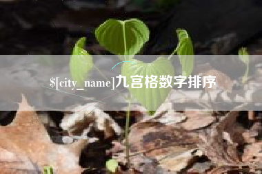 昭通九宫格数字排序