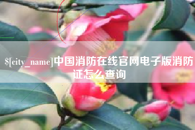 昭通中国消防在线官网电子版消防证怎么查询
