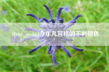 昭通今年九宫格的不利颜色