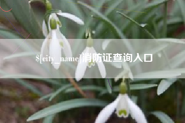 昭通消防证查询入口