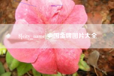 昭通中国金牌图片大全