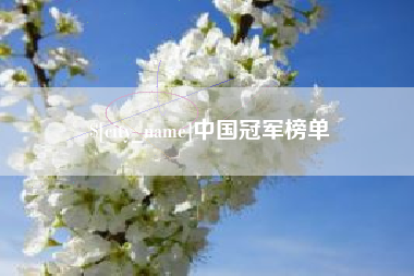 昭通中国冠军榜单