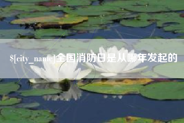 昭通全国消防日是从哪年发起的