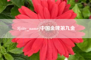 昭通中国金牌第九金