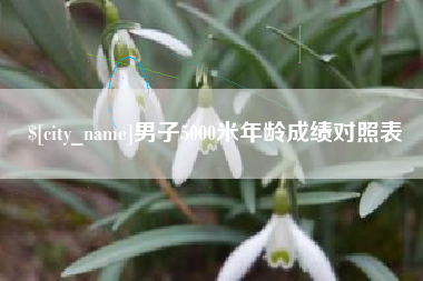 昭通男子5000米年龄成绩对照表