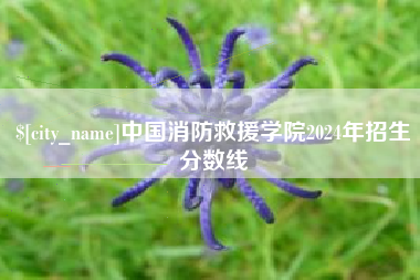 昭通中国消防救援学院2024年招生分数线