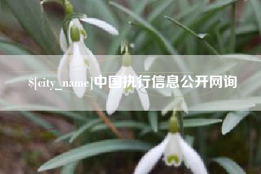 昭通中国执行信息公开网询