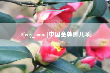昭通中国金牌哪几项