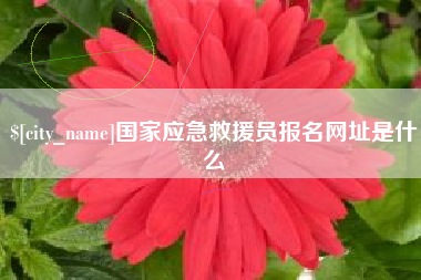 昭通国家应急救援员报名网址是什么