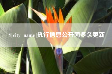昭通执行信息公开网多久更新