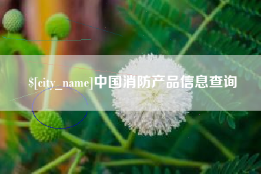 昭通中国消防产品信息查询