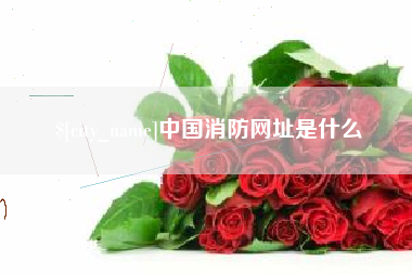 昭通中国消防网址是什么