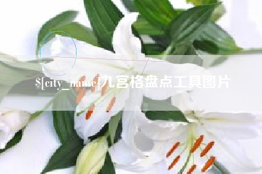 昭通九宫格盘点工具图片