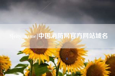 昭通中国消防网官方网站域名