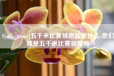 昭通五千米比赛领跑员是什么-他们就是五千米比赛领跑员
