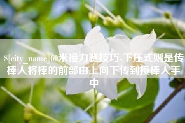 昭通60米接力赛技巧-下压式则是传棒人将棒的前部由上向下传到接棒人手中