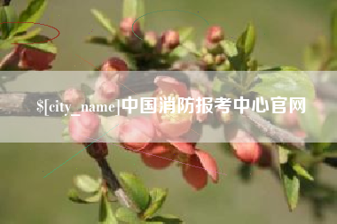 昭通中国消防报考中心官网
