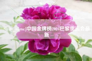 昭通中国金牌榜2024巴黎奥运会最新