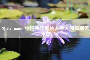 昭通中国金牌图片大全大图高清无水印