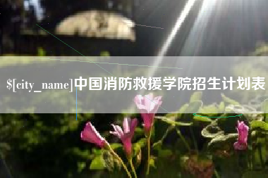 昭通中国消防救援学院招生计划表