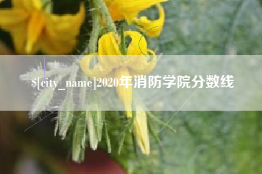 昭通2020年消防学院分数线