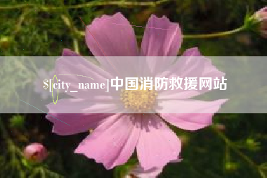 昭通中国消防救援网站