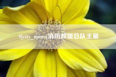 昭通消防救援总队王星