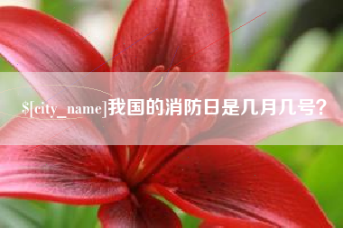 昭通我国的消防日是几月几号？