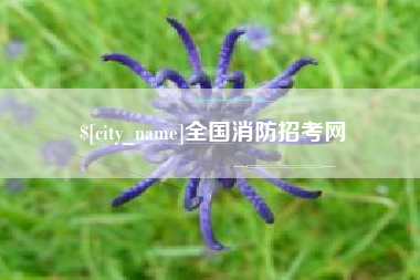 昭通全国消防招考网