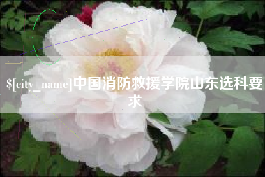昭通中国消防救援学院山东选科要求