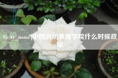 昭通中国消防救援学院什么时候政审