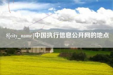 昭通中国执行信息公开网的地点