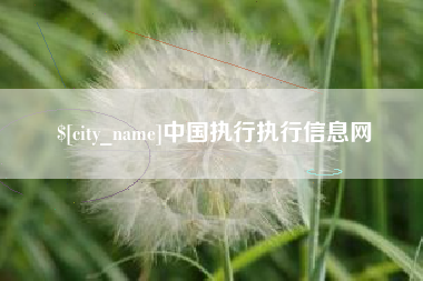 昭通中国执行执行信息网