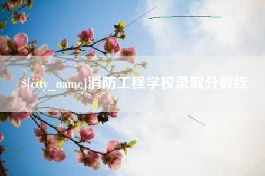 昭通消防工程学校录取分数线