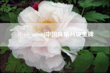 昭通中国队第八块金牌