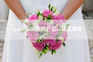 昭通消防产品ccc认证查询