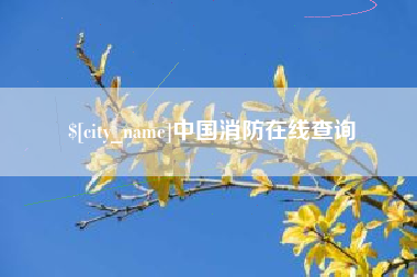 昭通中国消防在线查询