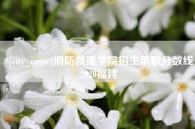 昭通消防救援学院招生录取分数线2020福建