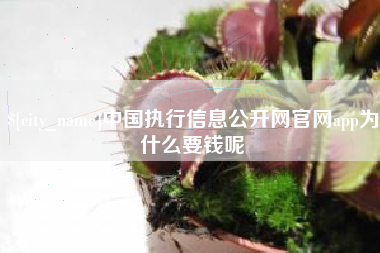 昭通中国执行信息公开网官网app为什么要钱呢