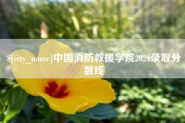 昭通中国消防救援学院2021录取分数线