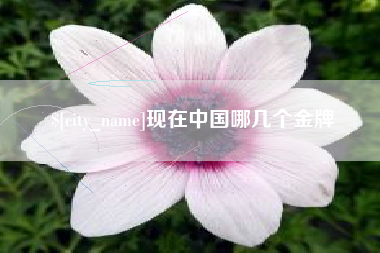 昭通现在中国哪几个金牌
