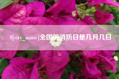 昭通全国的消防日是几月几日