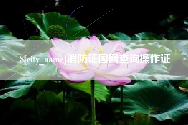 昭通消防证国网查询操作证