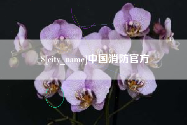 昭通中国消防官方