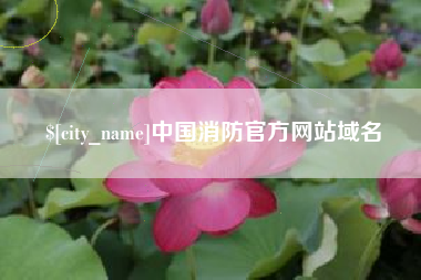 昭通中国消防官方网站域名