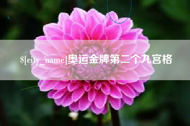 昭通奥运金牌第二个九宫格