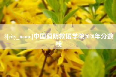 昭通中国消防救援学院2020年分数线